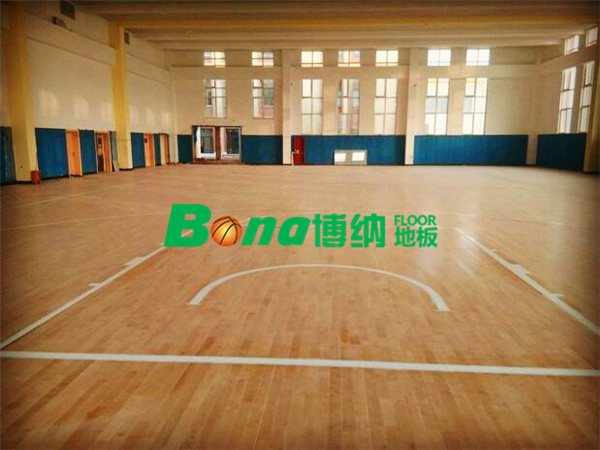 学校体育馆、企事业单位活动场地