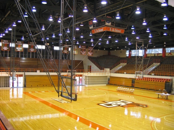 那有篮球场地木地板哪些牌子好