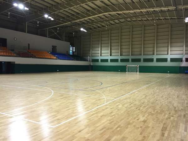 哪有运动型地板哪个品牌好