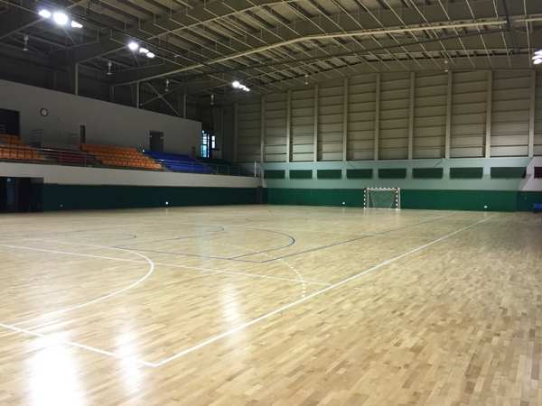 有什么体育运动木地板回弹值