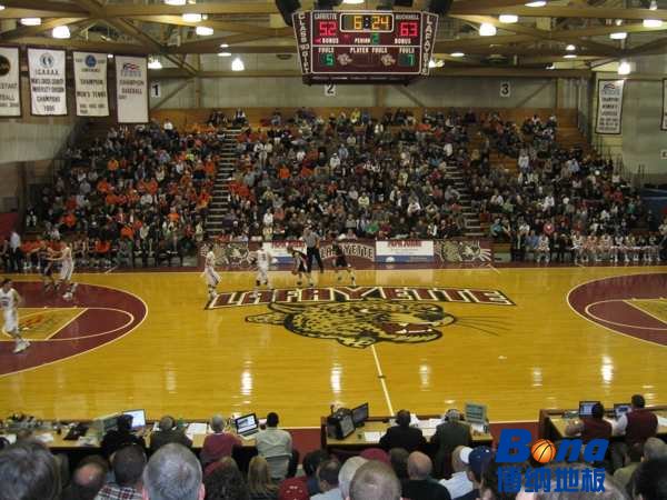 有什么运动木地板适合篮球馆吗