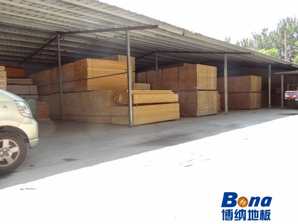 有什么体育运动木地板怎么保养