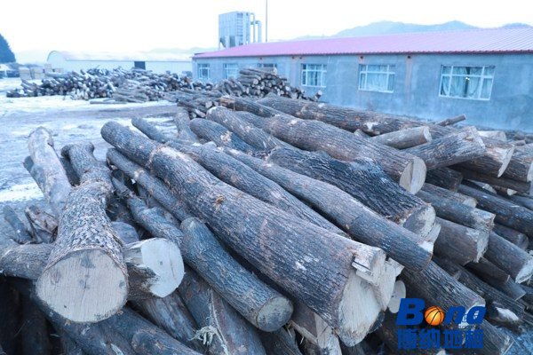 较好的体育运动木地板结构中毛板尺寸